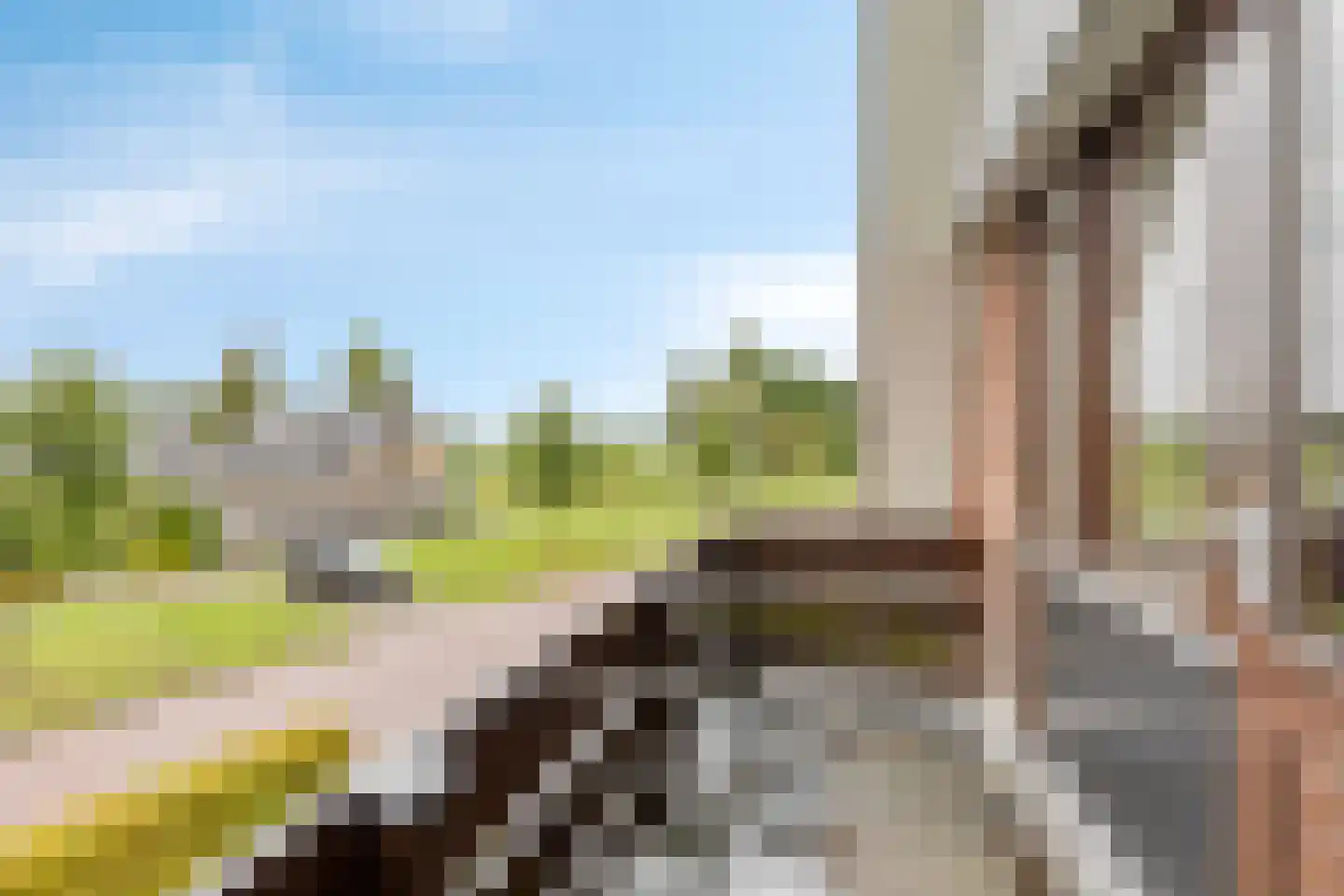 Buorren 56 a Rottevalle thumbnail 40