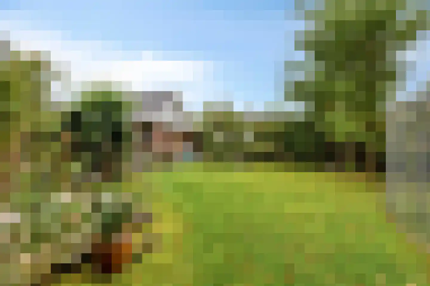 Buorren 56 a Rottevalle thumbnail 42
