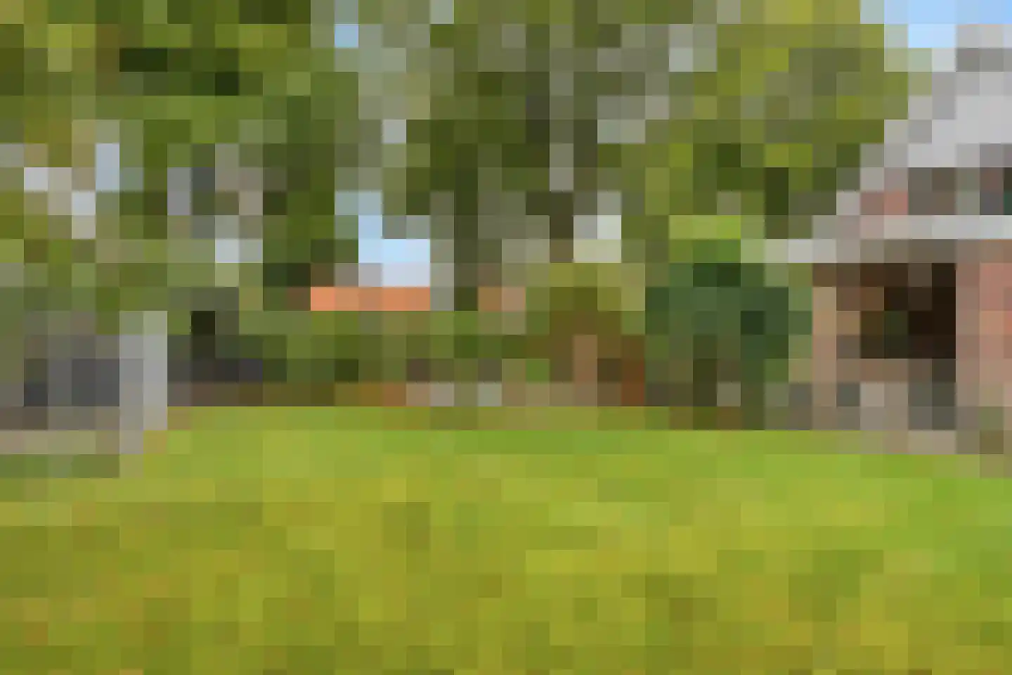 Buorren 56 a Rottevalle thumbnail 43