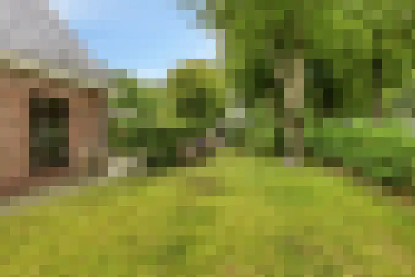 Buorren 56 a Rottevalle thumbnail 45
