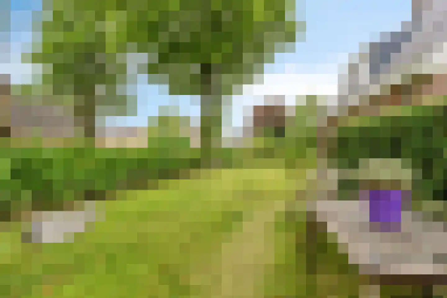 Buorren 56 a Rottevalle thumbnail 46