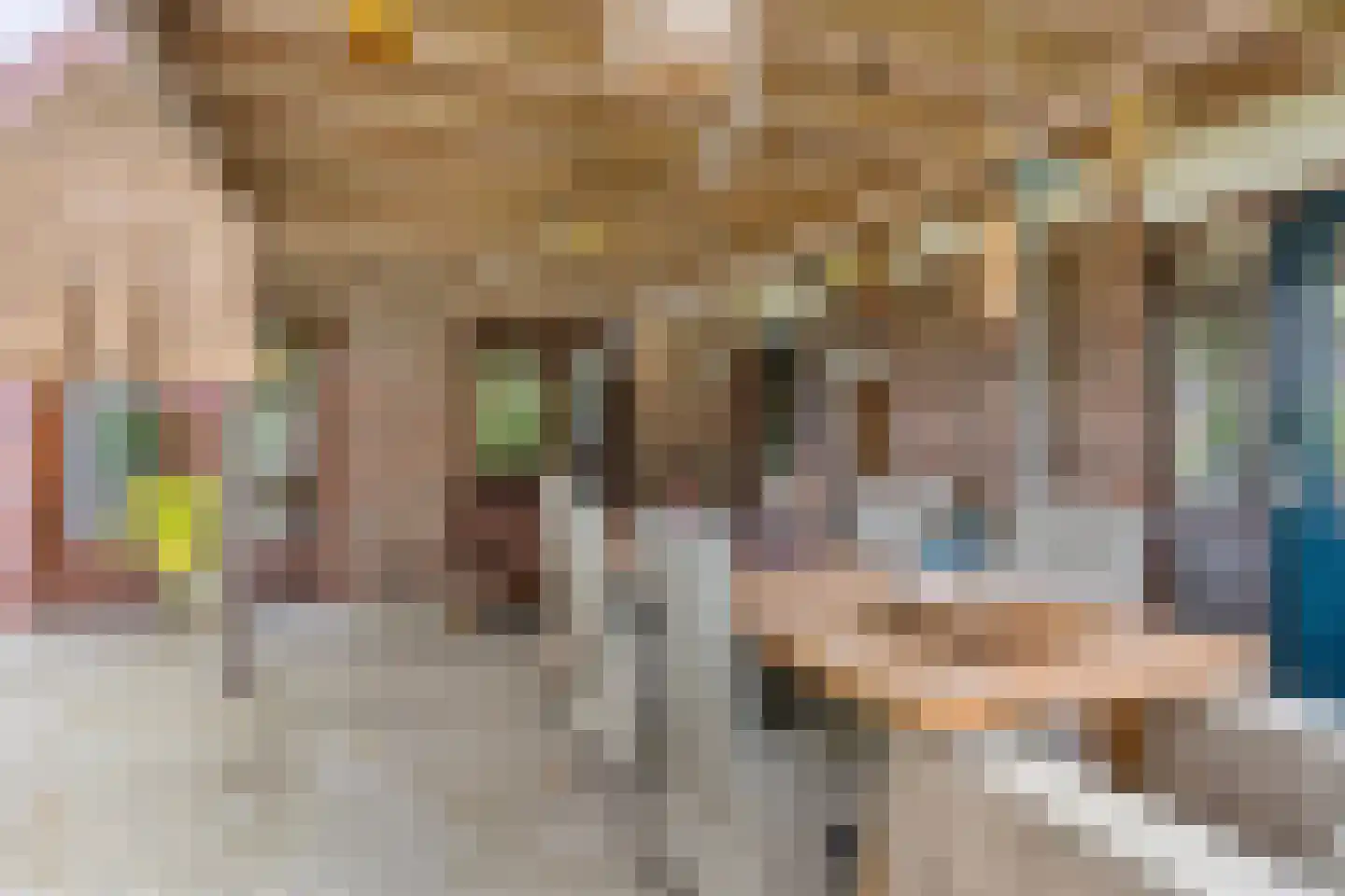 Buorren 56 a Rottevalle thumbnail 48