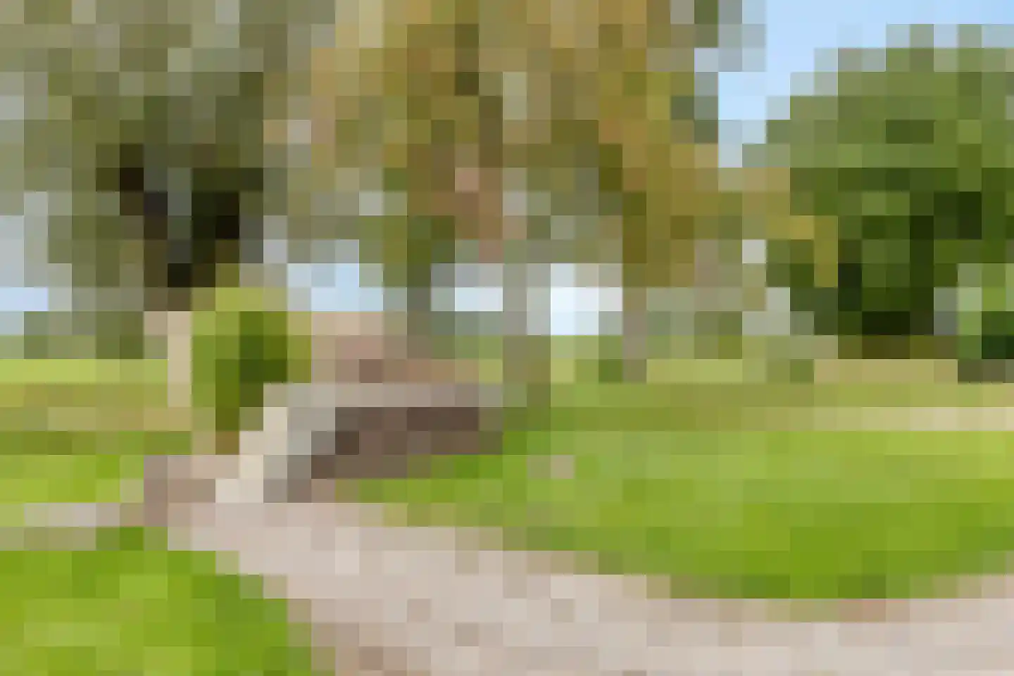Buorren 56 a Rottevalle thumbnail 50
