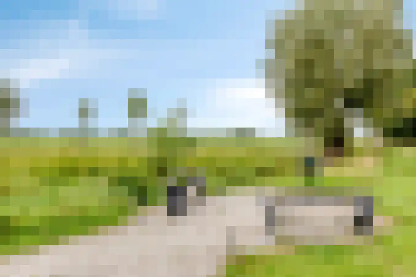 Buorren 56 a Rottevalle thumbnail 51