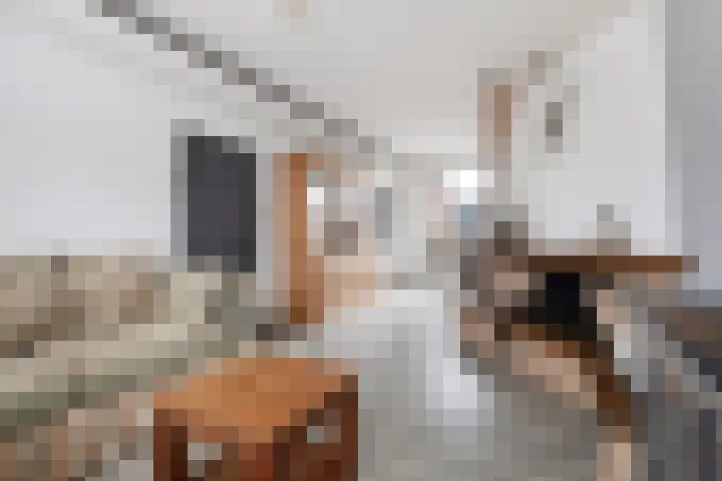 Buorren 6 Berltsum thumbnail 11