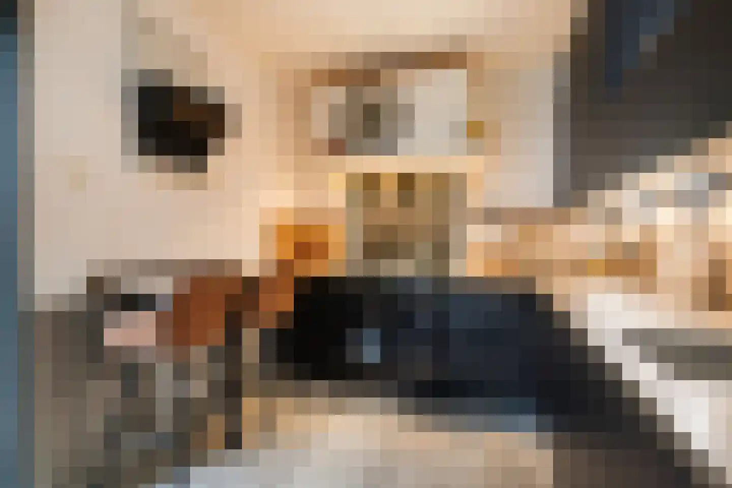 Buorren 6 Berltsum thumbnail 14