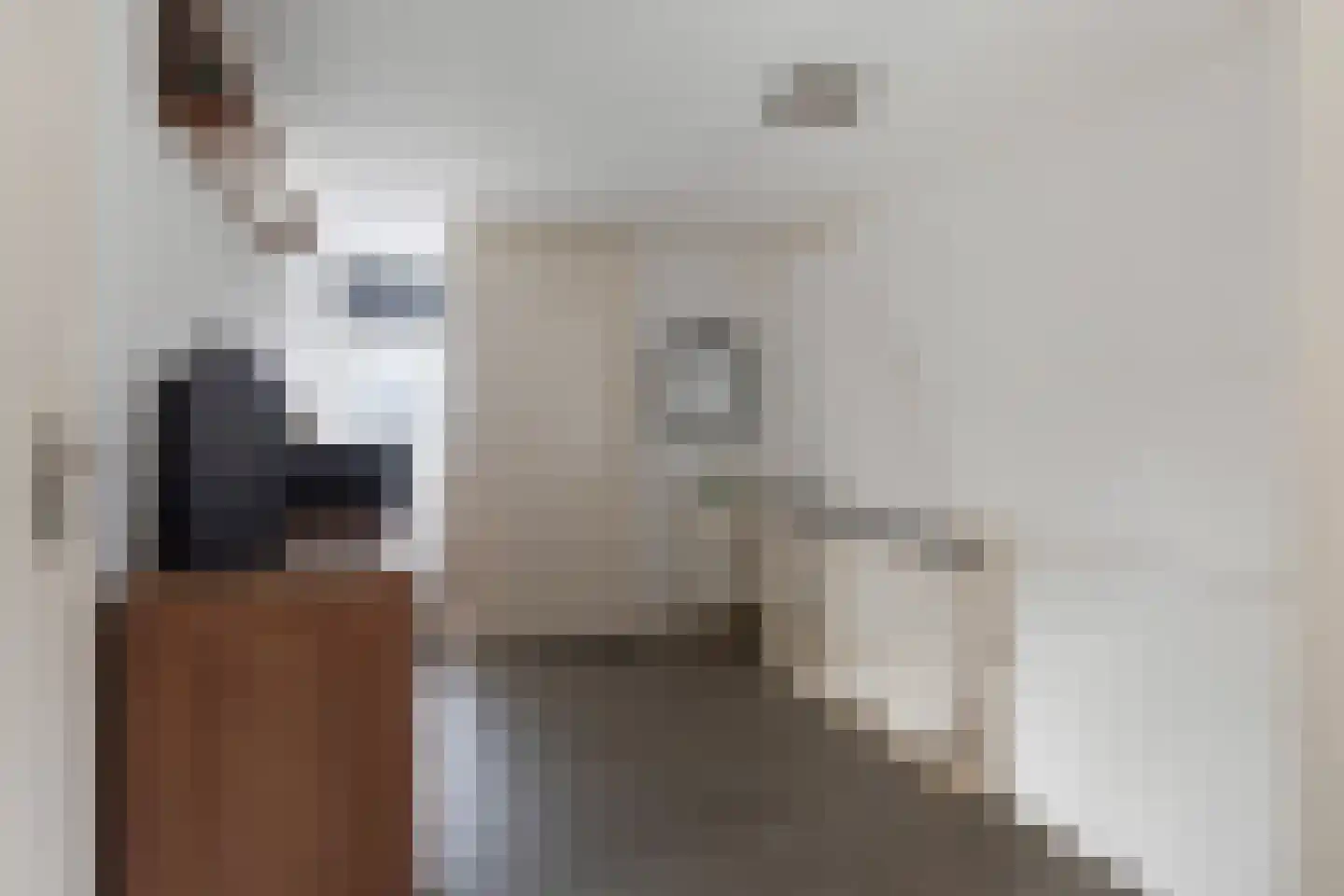 Buorren 6 Berltsum thumbnail 22