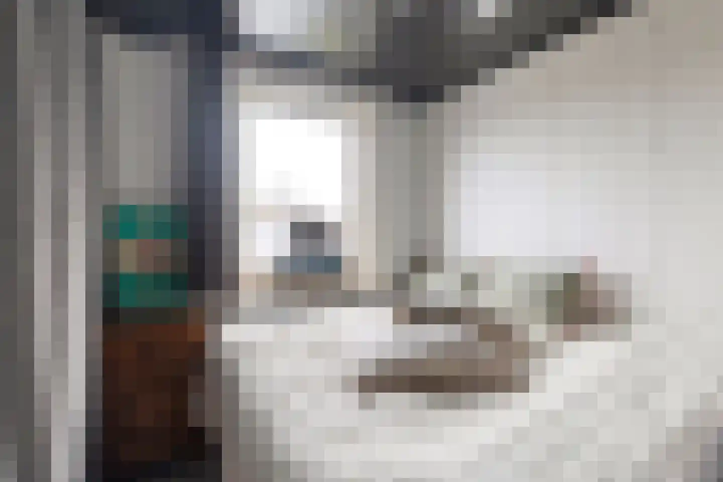 Buorren 6 Berltsum thumbnail 28