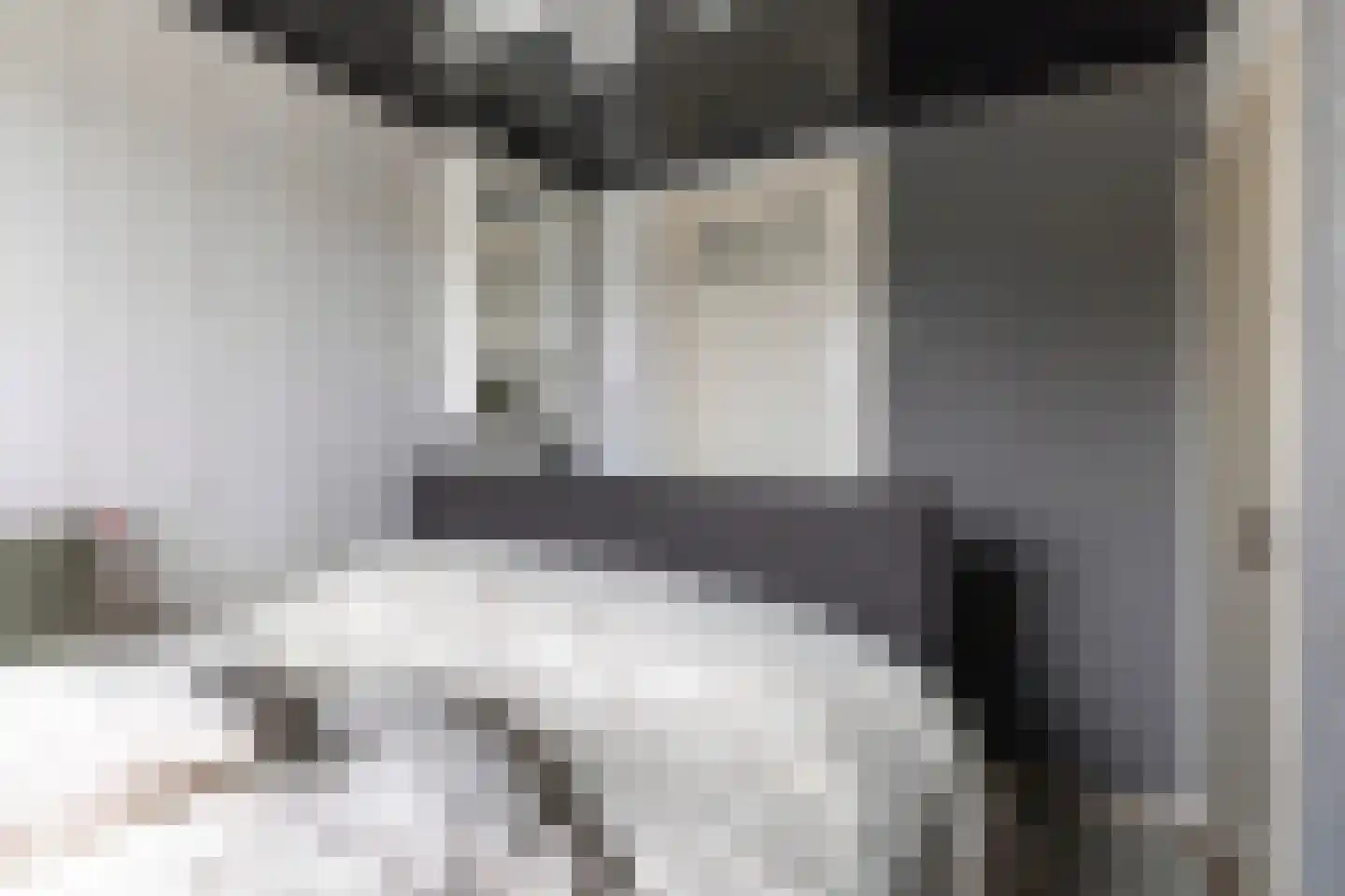 Buorren 6 Berltsum thumbnail 29
