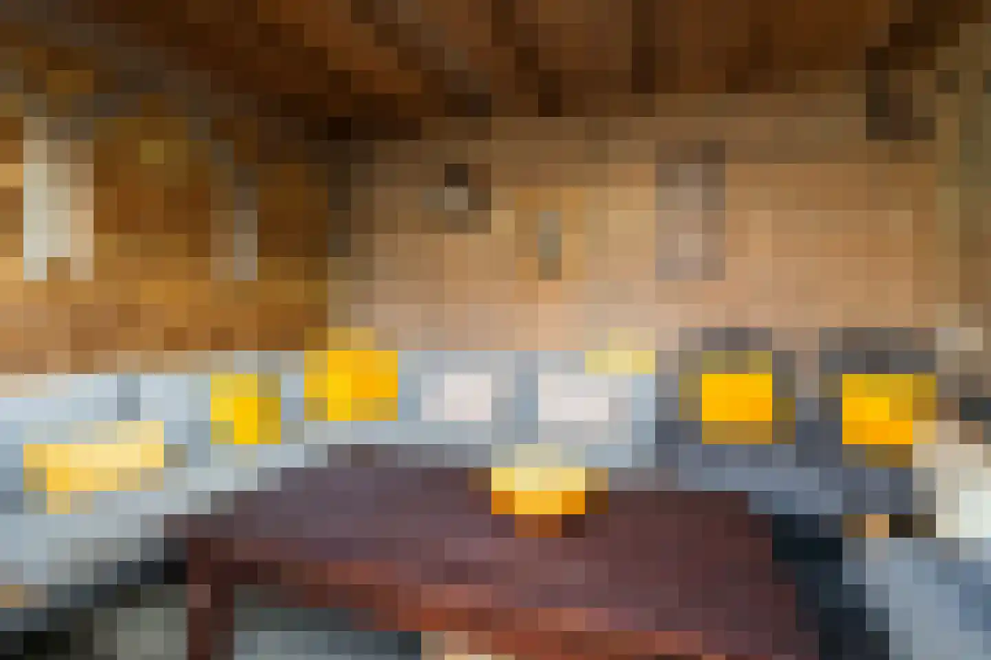 Buorren 6 Berltsum thumbnail 32