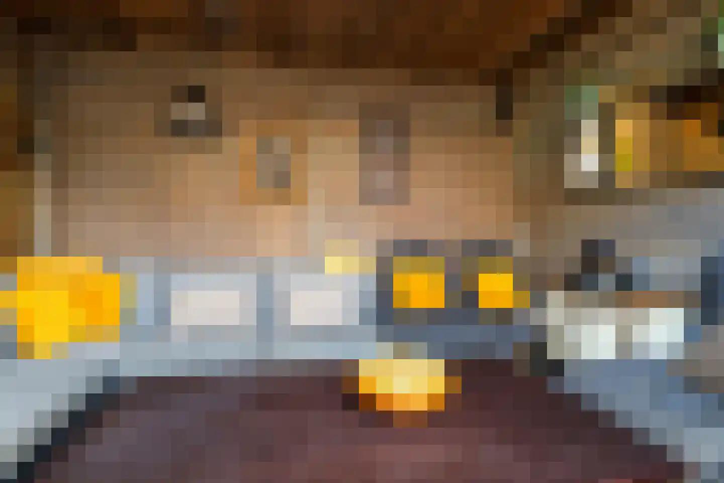 Buorren 6 Berltsum thumbnail 33