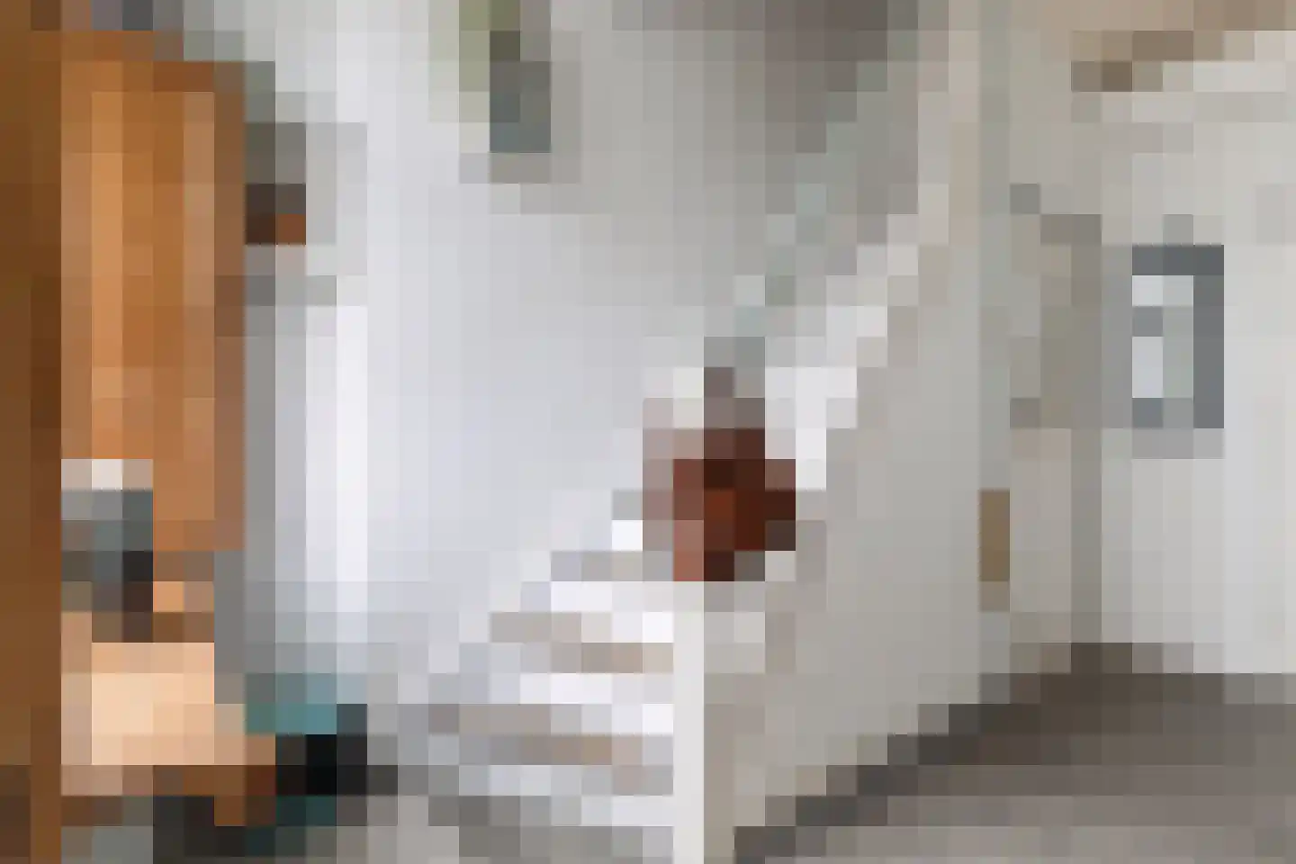 Buorren 6 Berltsum thumbnail 5