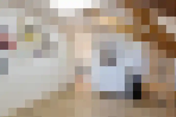 Buorren 6 Elahuizen thumbnail 19
