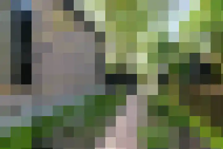Buorren 6 Elahuizen thumbnail 34