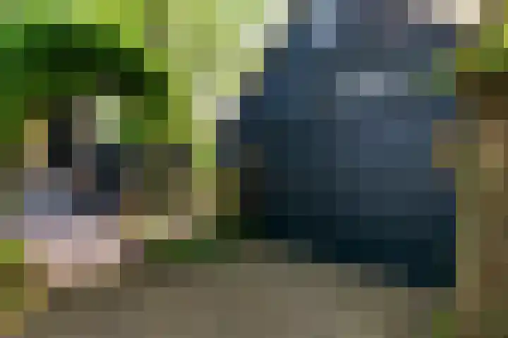 Buorren 6 Elahuizen thumbnail 35