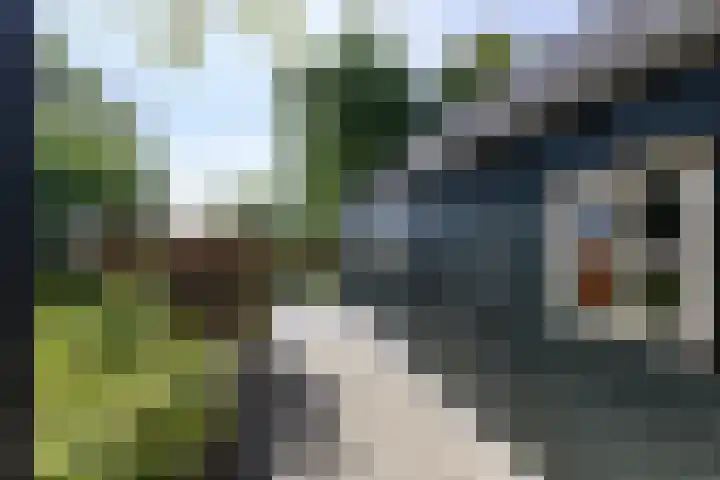Buorren 6 Elahuizen thumbnail 37