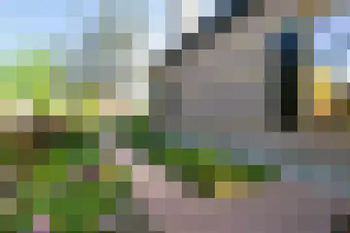 Buorren 6 Elahuizen thumbnail 38