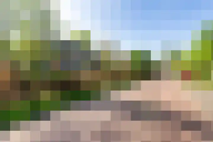 Buorren 6 Elahuizen thumbnail 41