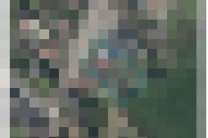 Buorren 6 Elahuizen thumbnail 46