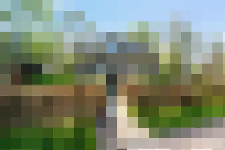 Buorren 6 Elahuizen thumbnail 47