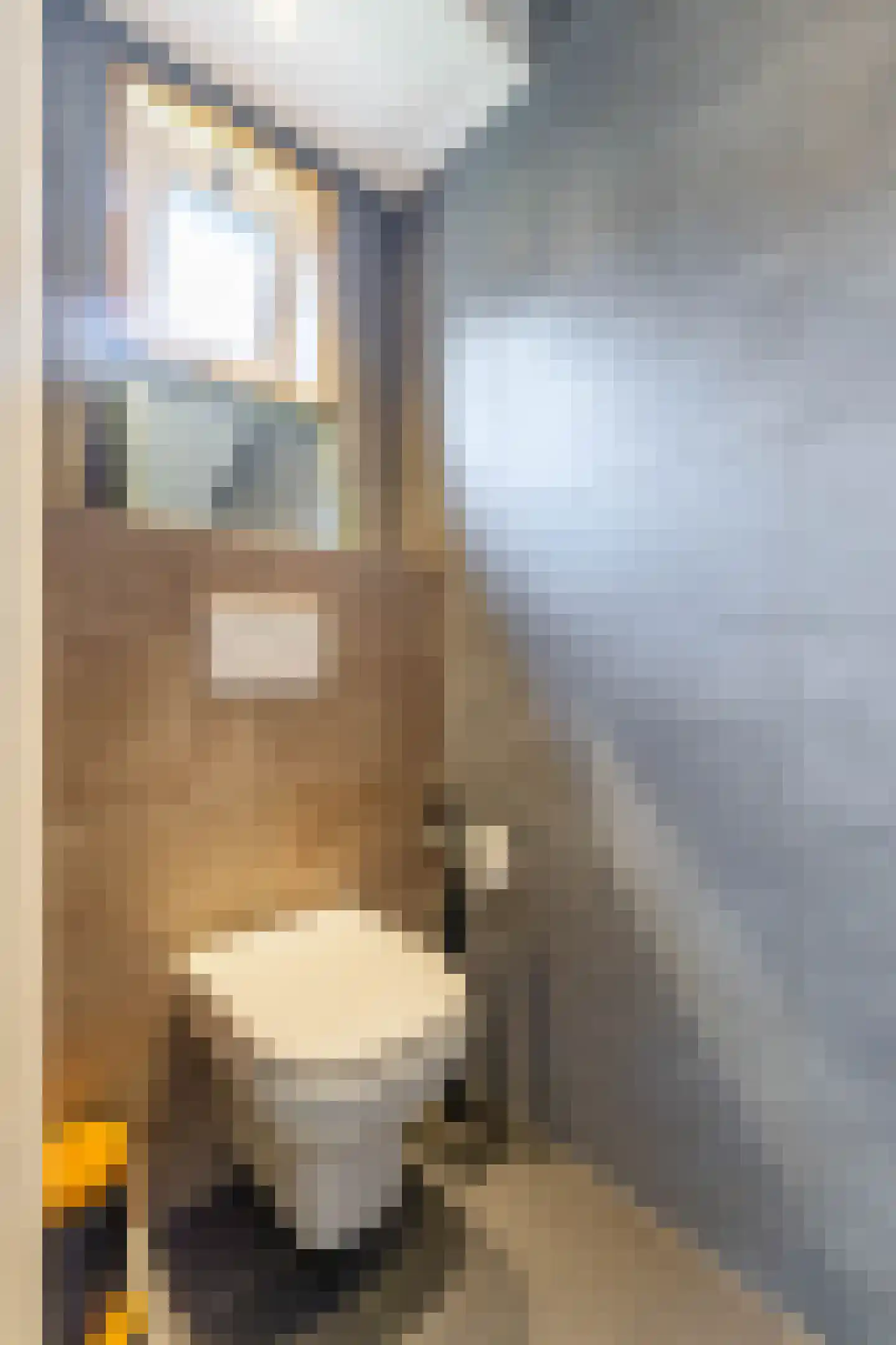 Buorren 6 Houtigehage thumbnail 10