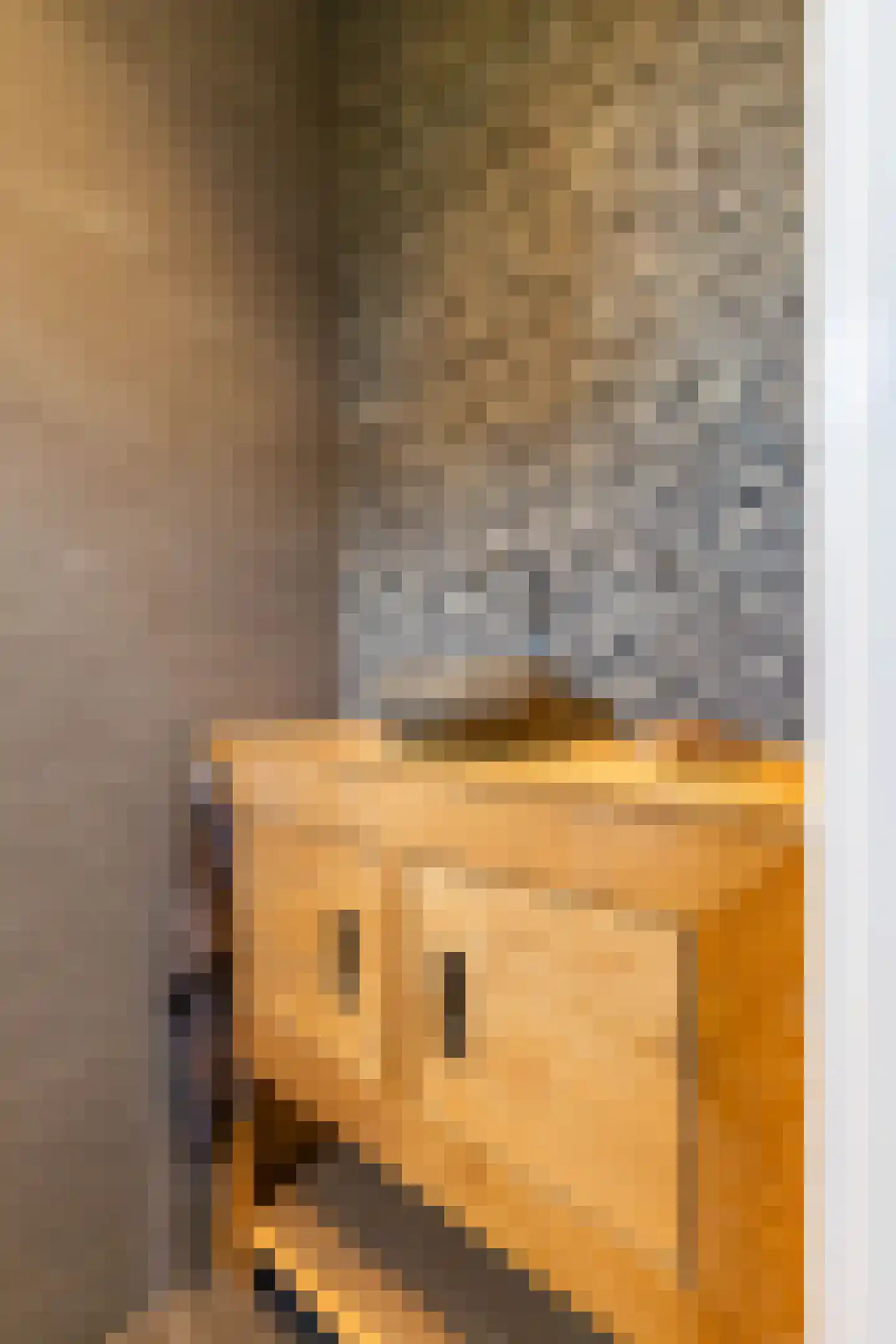 Buorren 6 Houtigehage thumbnail 11