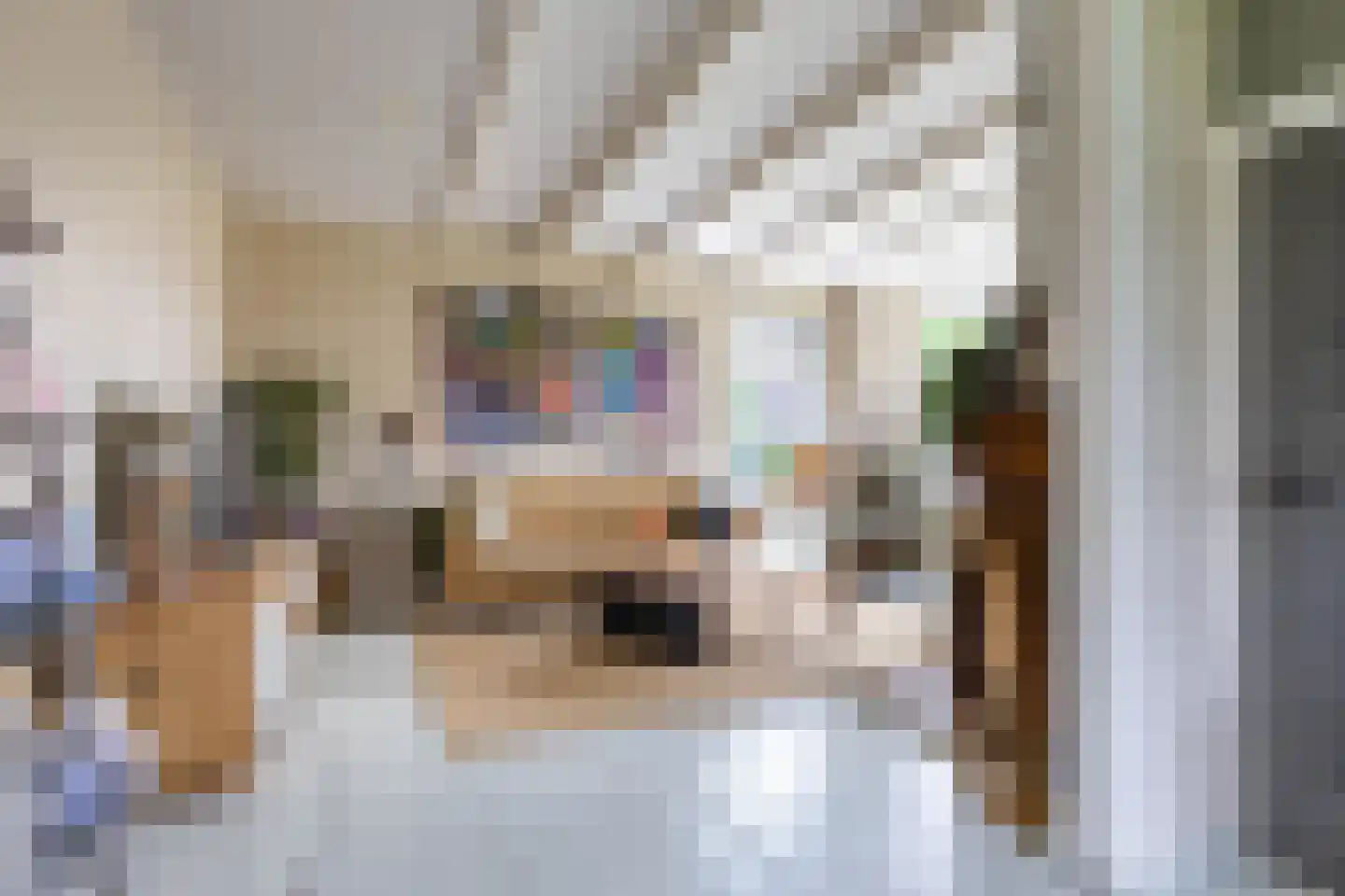 Buorren 6 Houtigehage thumbnail 12