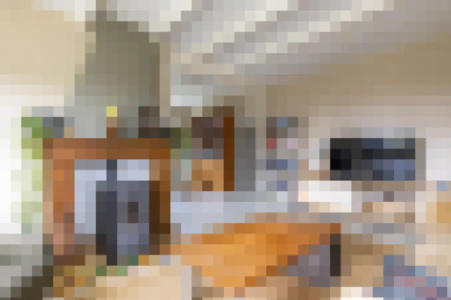 Buorren 6 Houtigehage thumbnail 15