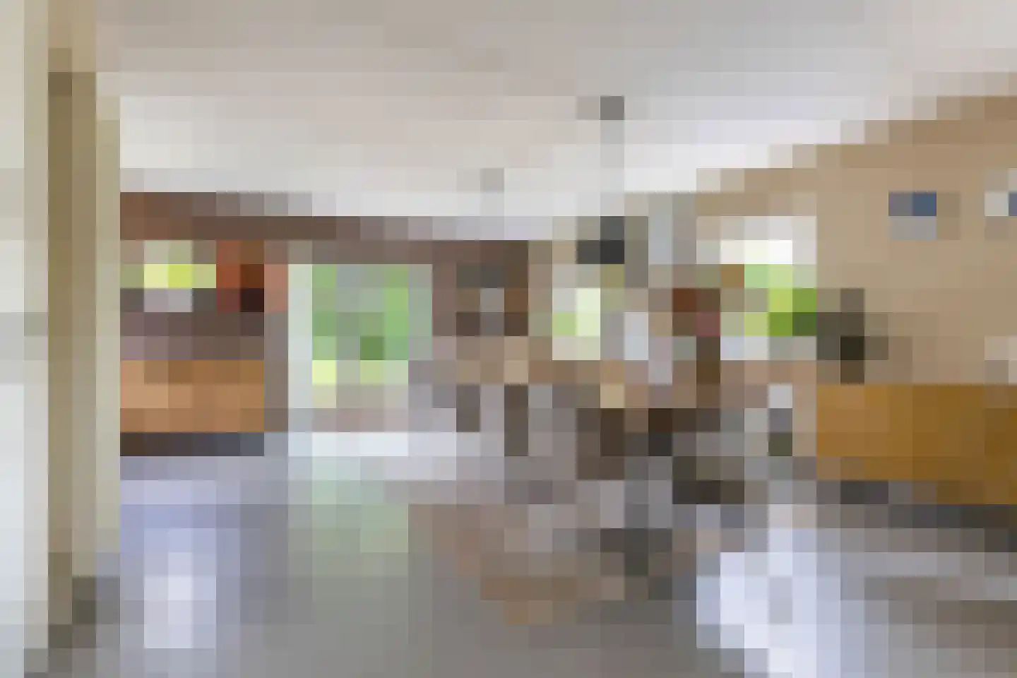 Buorren 6 Houtigehage thumbnail 21