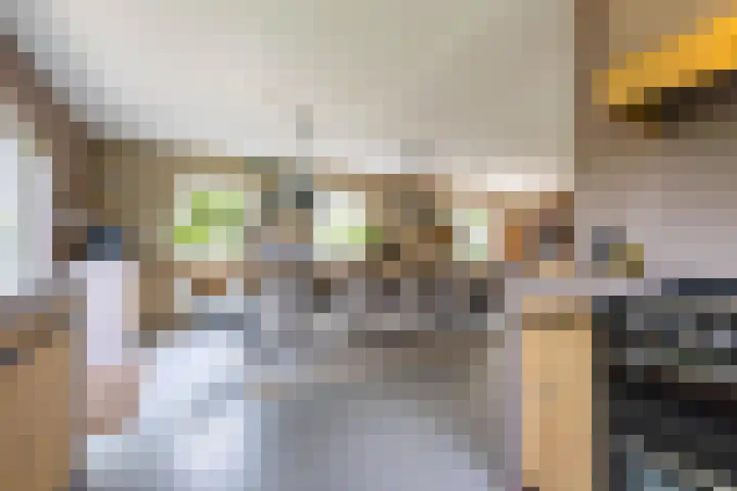 Buorren 6 Houtigehage thumbnail 32