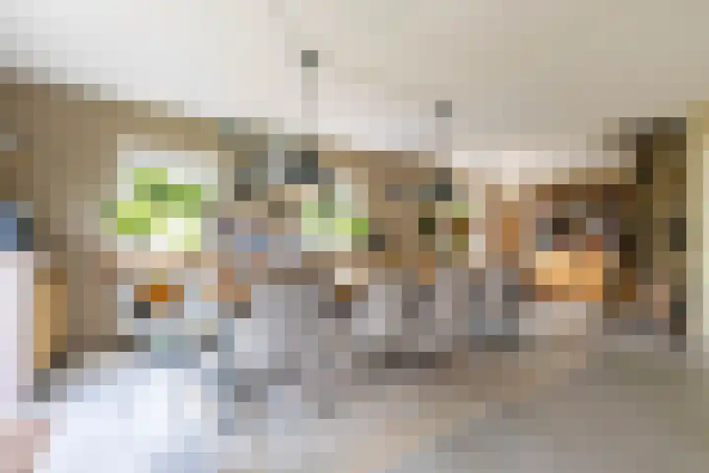 Buorren 6 Houtigehage thumbnail 33