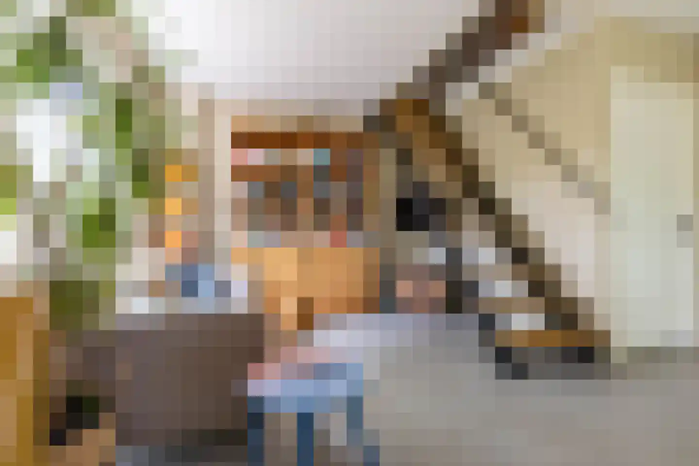 Buorren 6 Houtigehage thumbnail 35