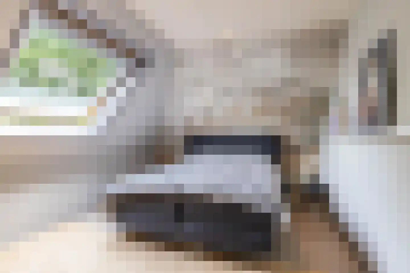 Buorren 6 Houtigehage thumbnail 38