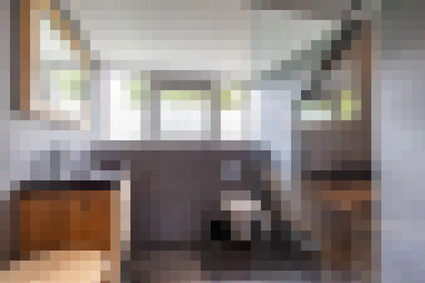 Buorren 6 Houtigehage thumbnail 44