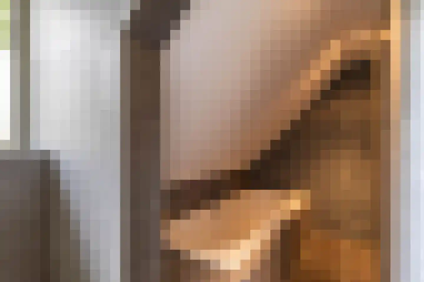 Buorren 6 Houtigehage thumbnail 47