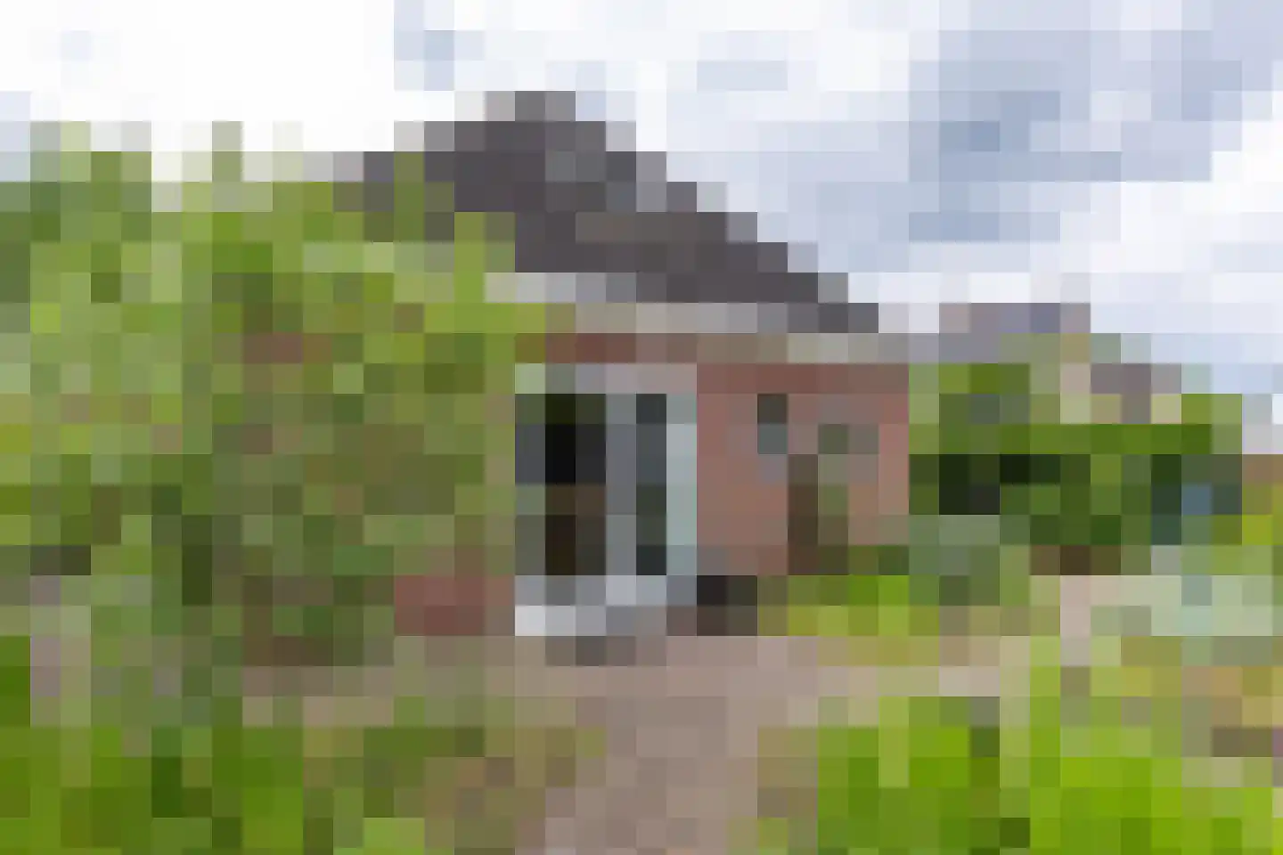 Buorren 6 Houtigehage thumbnail 48