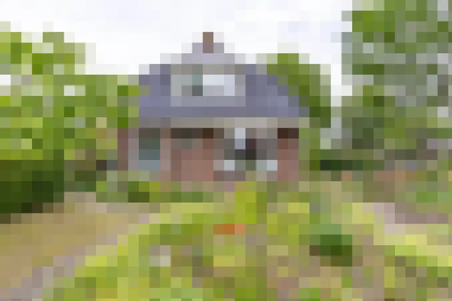 Buorren 6 Houtigehage thumbnail 5