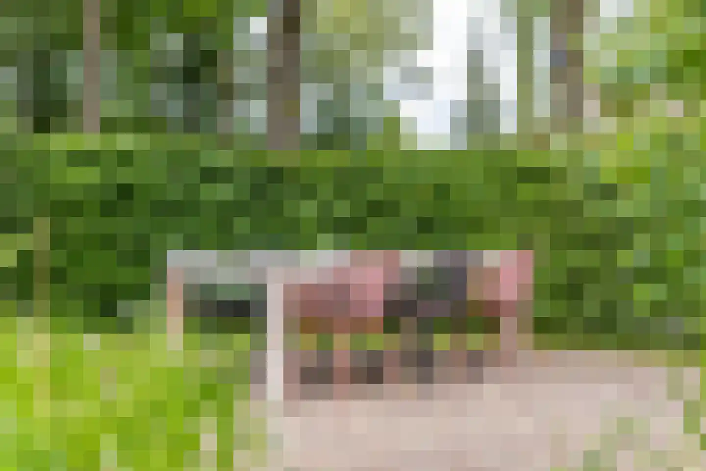 Buorren 6 Houtigehage thumbnail 50