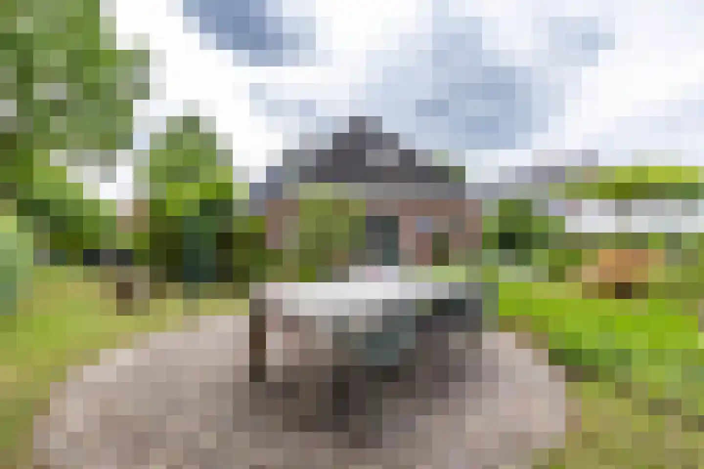 Buorren 6 Houtigehage thumbnail 54