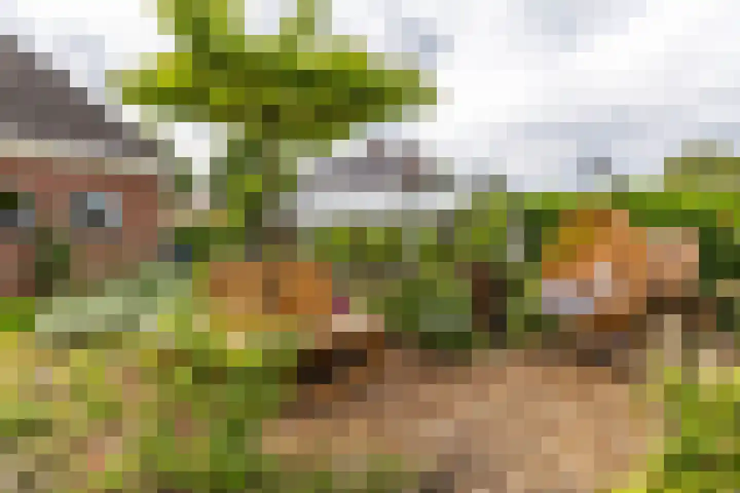 Buorren 6 Houtigehage thumbnail 58