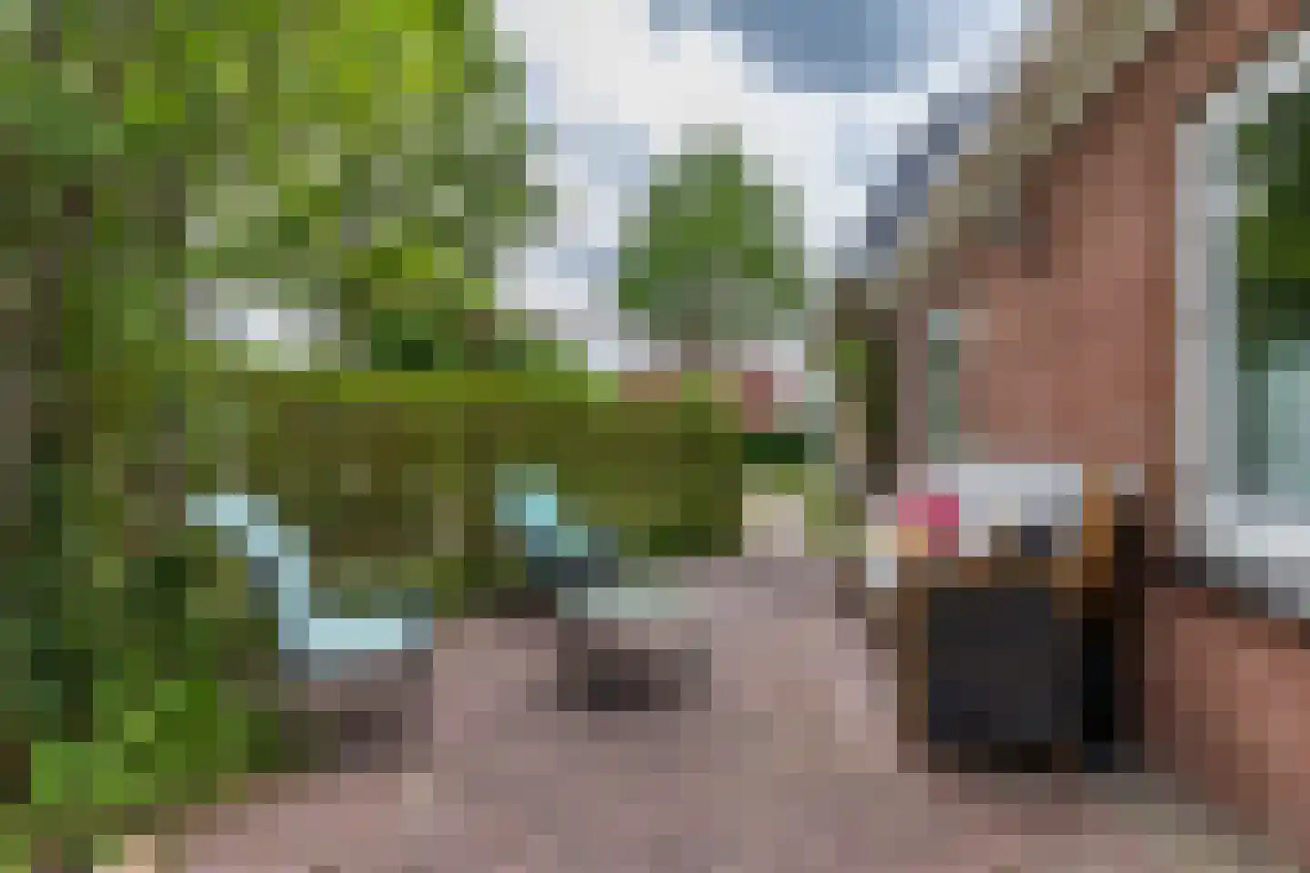Buorren 6 Houtigehage thumbnail 59