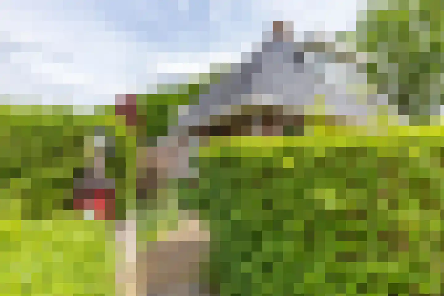 Buorren 6 Houtigehage thumbnail 6