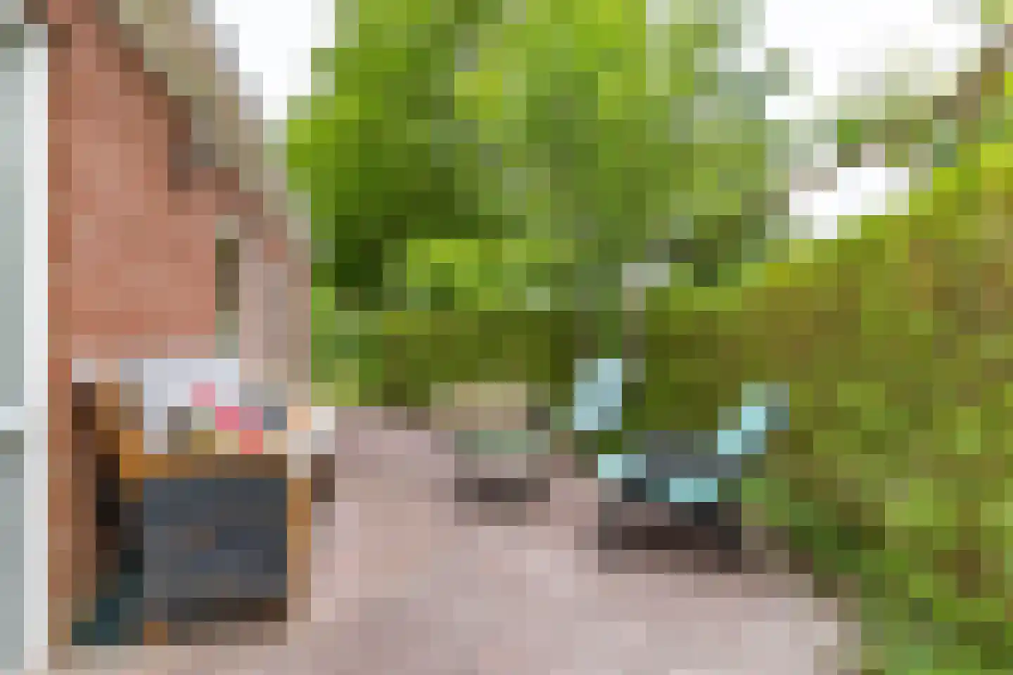 Buorren 6 Houtigehage thumbnail 60