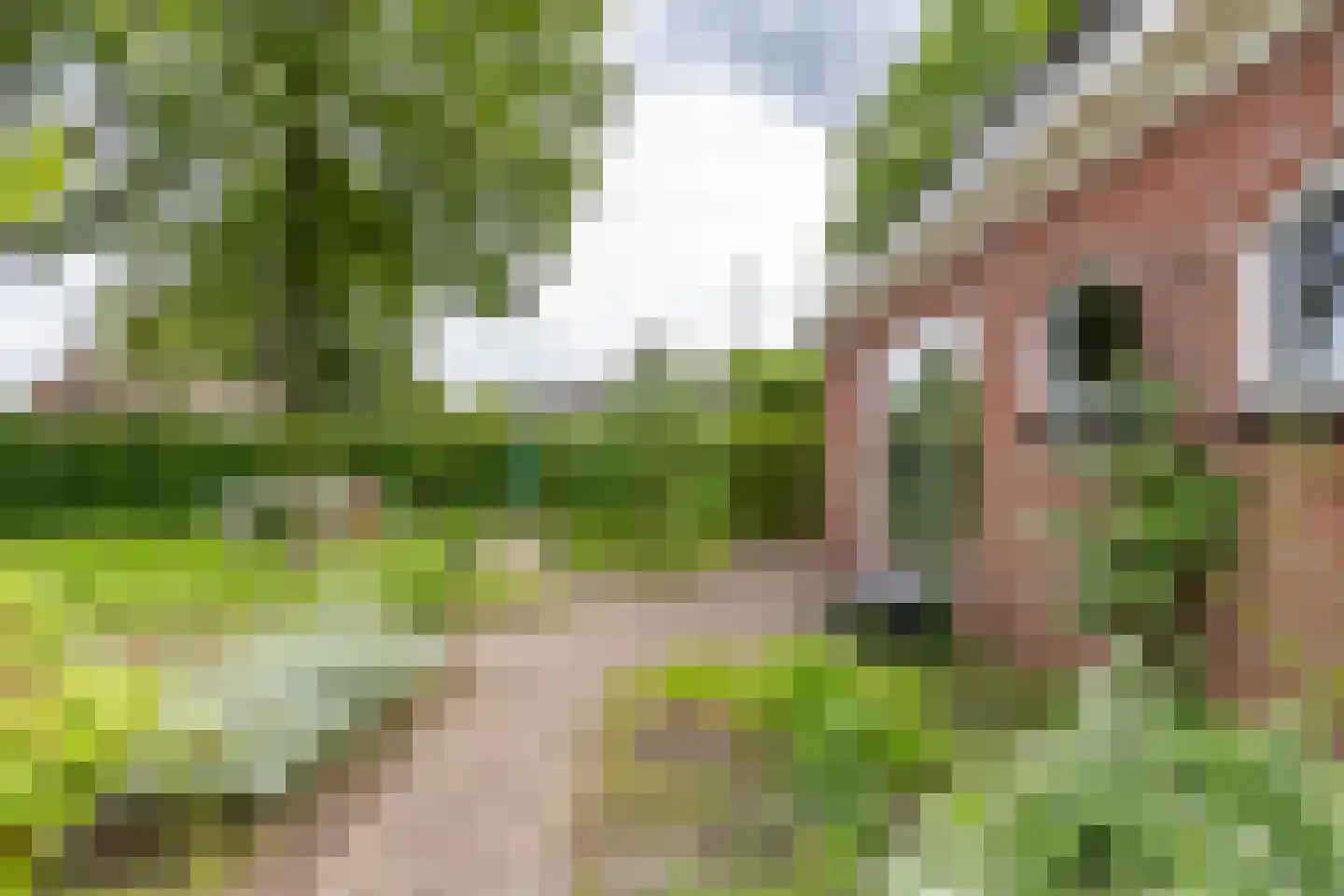 Buorren 6 Houtigehage thumbnail 63