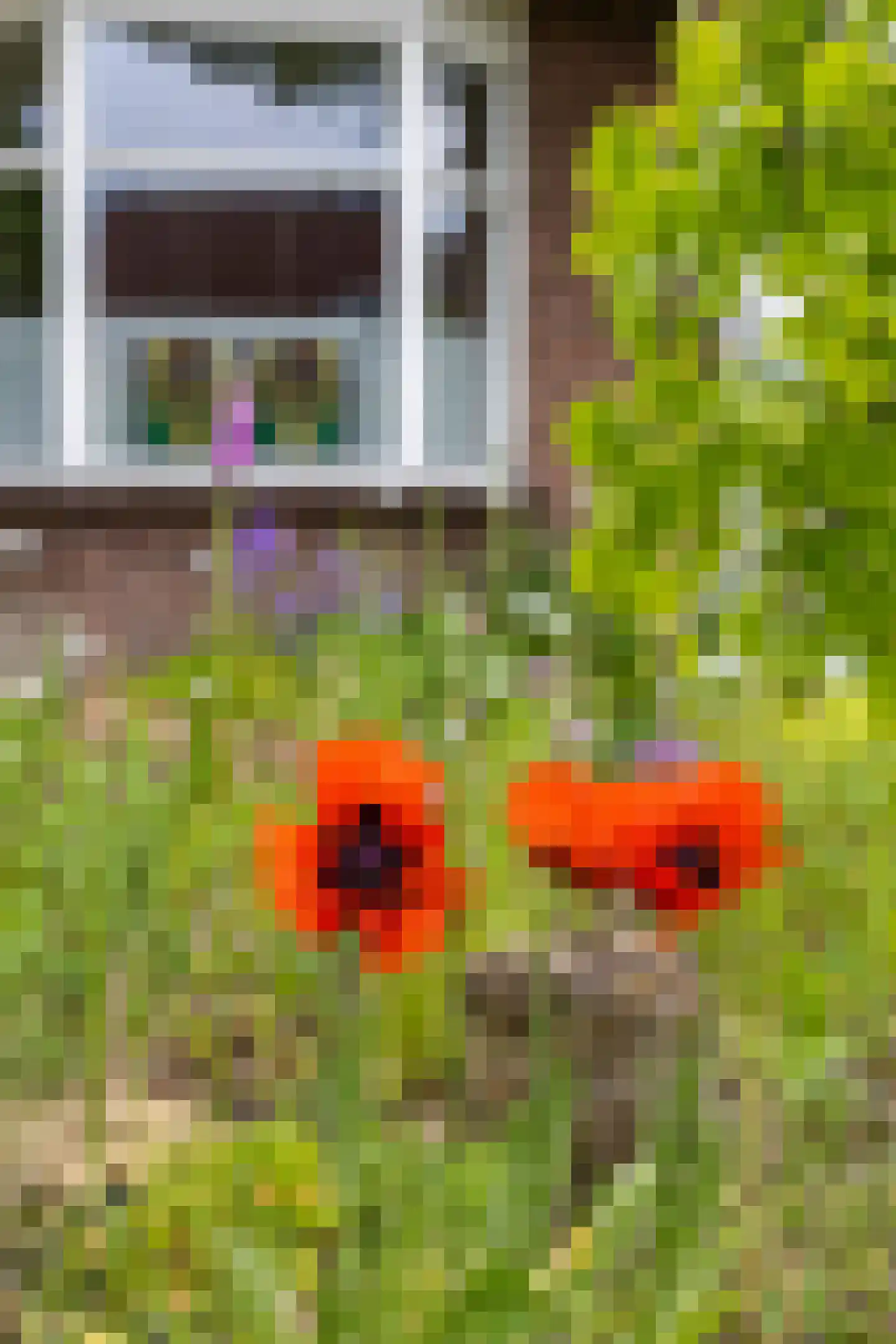 Buorren 6 Houtigehage thumbnail 64