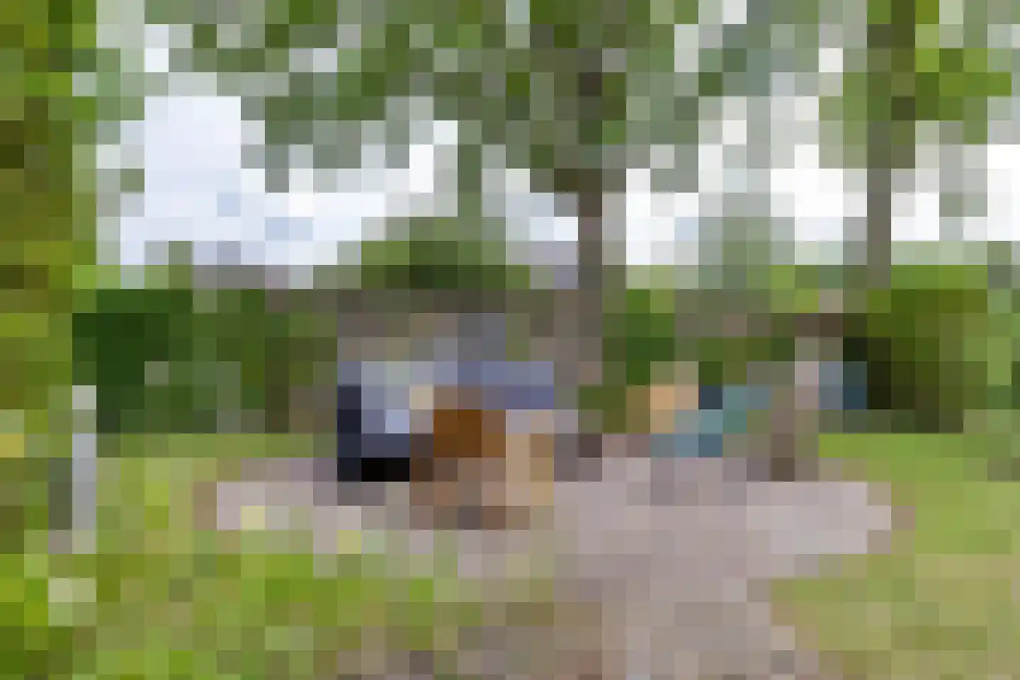Buorren 6 Houtigehage thumbnail 65