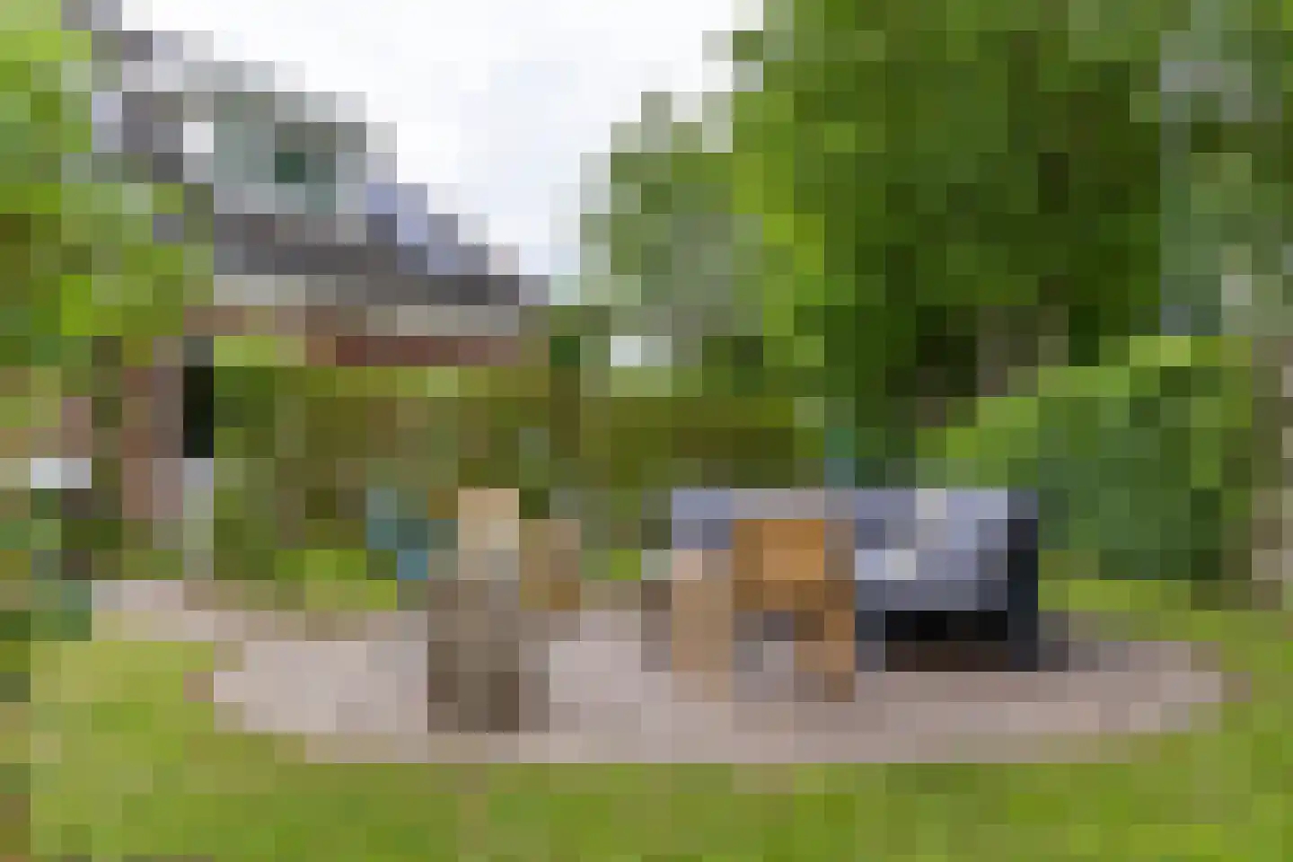 Buorren 6 Houtigehage thumbnail 66