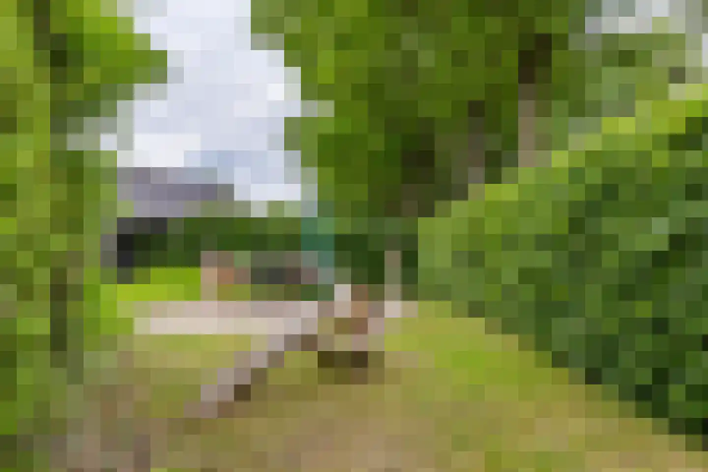 Buorren 6 Houtigehage thumbnail 68