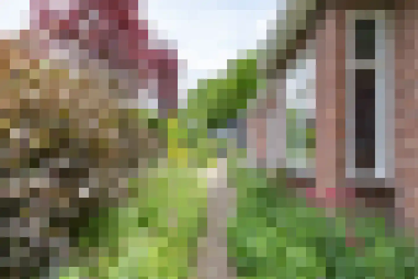 Buorren 6 Houtigehage thumbnail 7