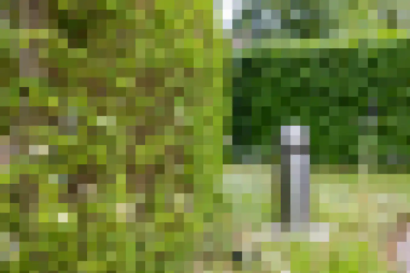 Buorren 6 Houtigehage thumbnail 70